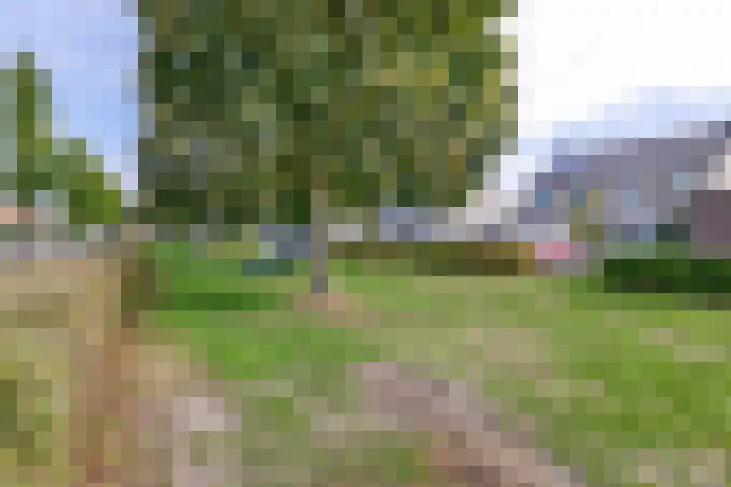 Scholekster 29 Lemmer thumbnail 33