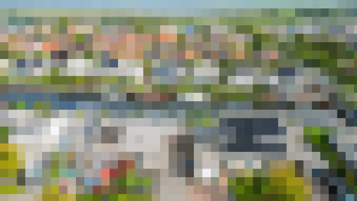 Scholekster 29 Lemmer thumbnail 34