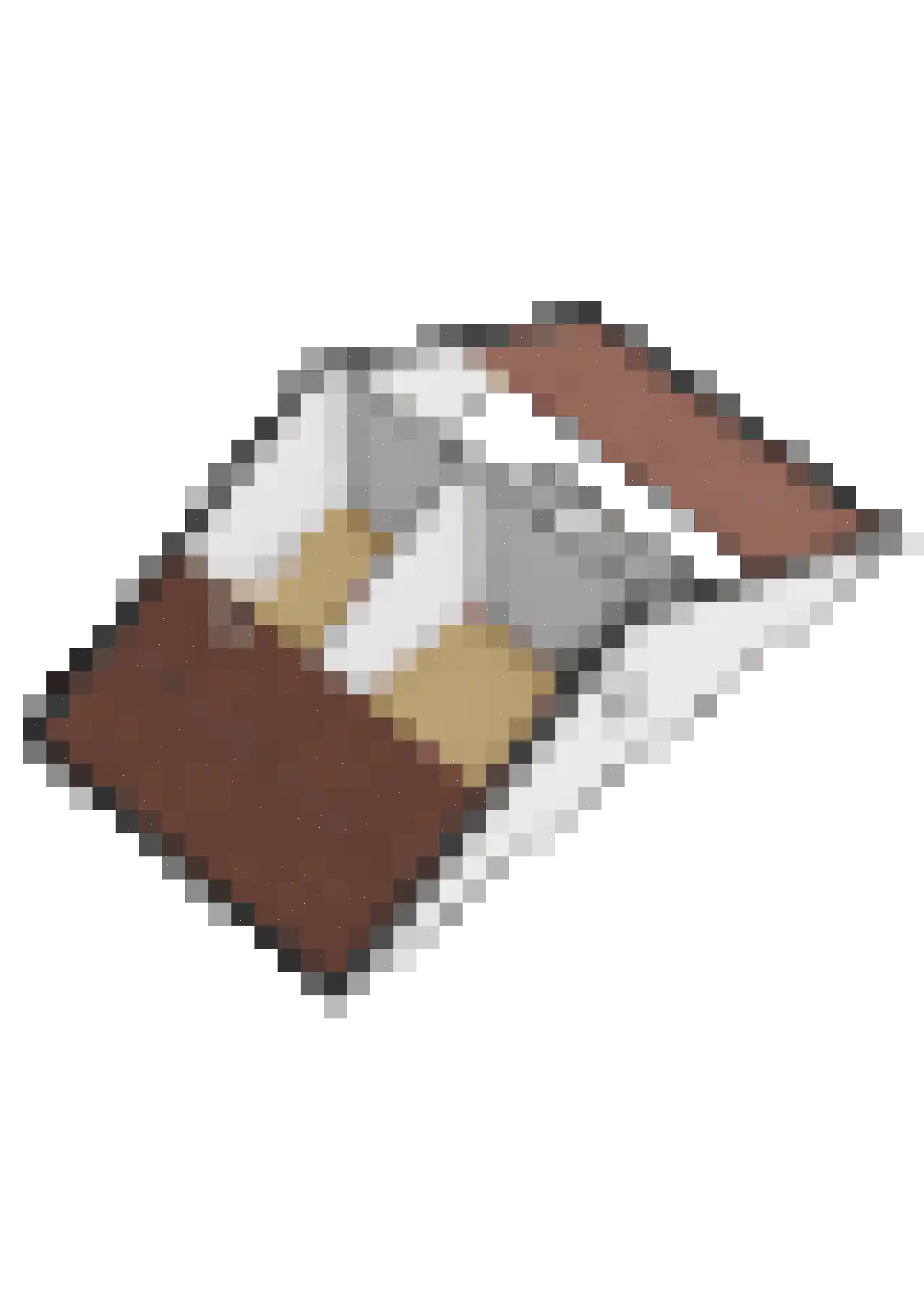 Scholekster 29 Lemmer thumbnail 38