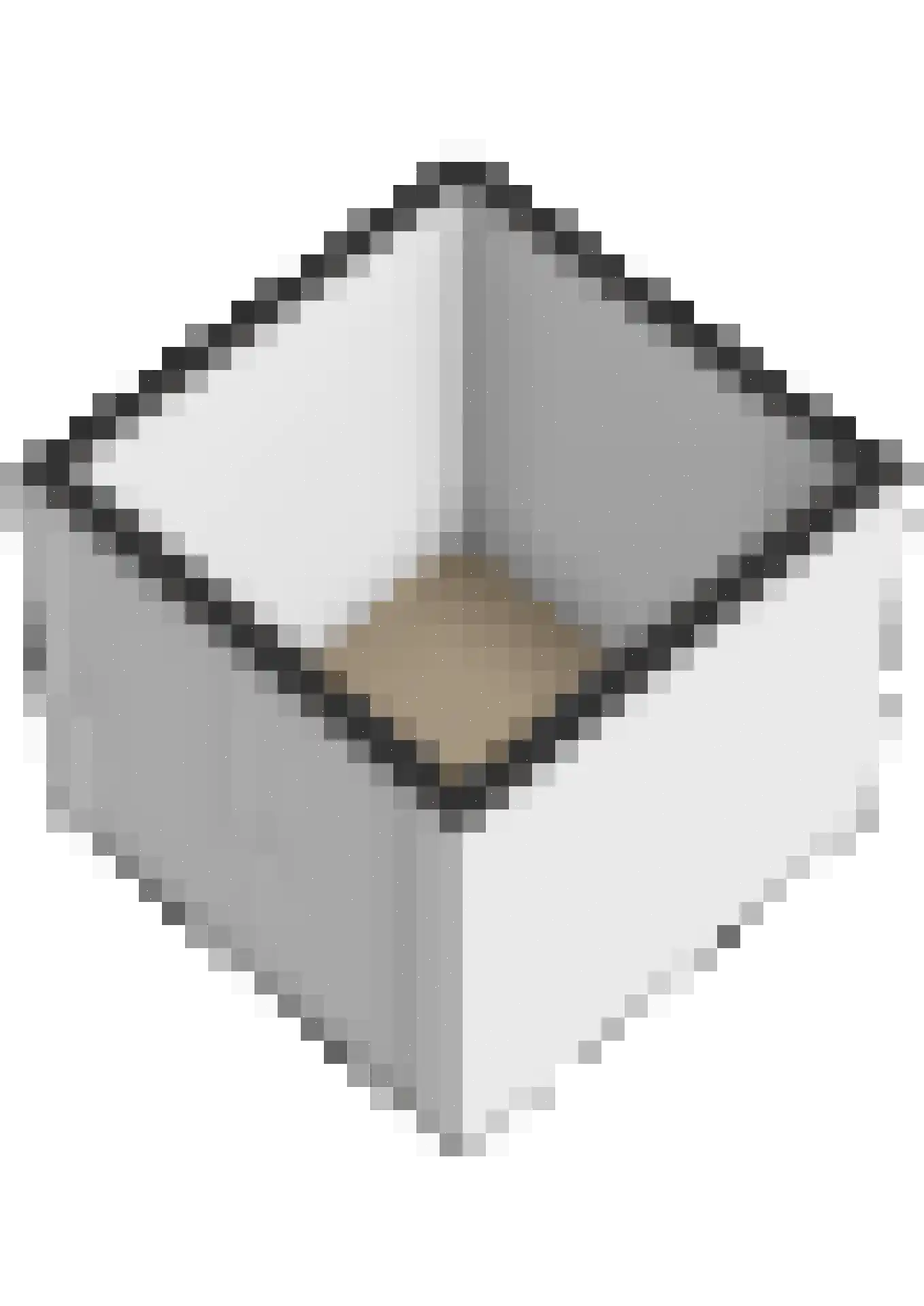 Scholekster 29 Lemmer thumbnail 40