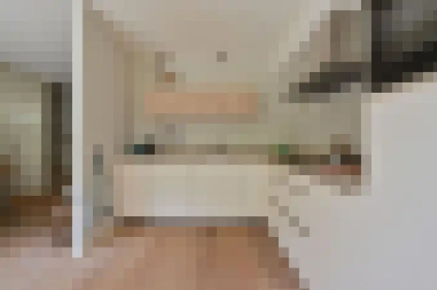 Scholekster 32 Eemnes thumbnail 11