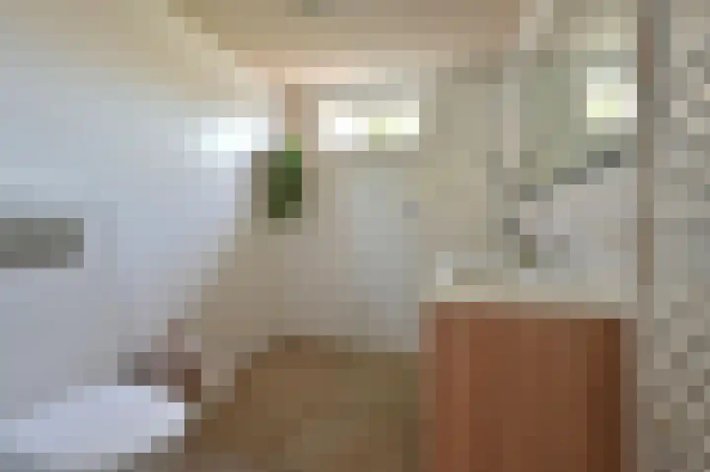 Scholekster 32 Eemnes thumbnail 13