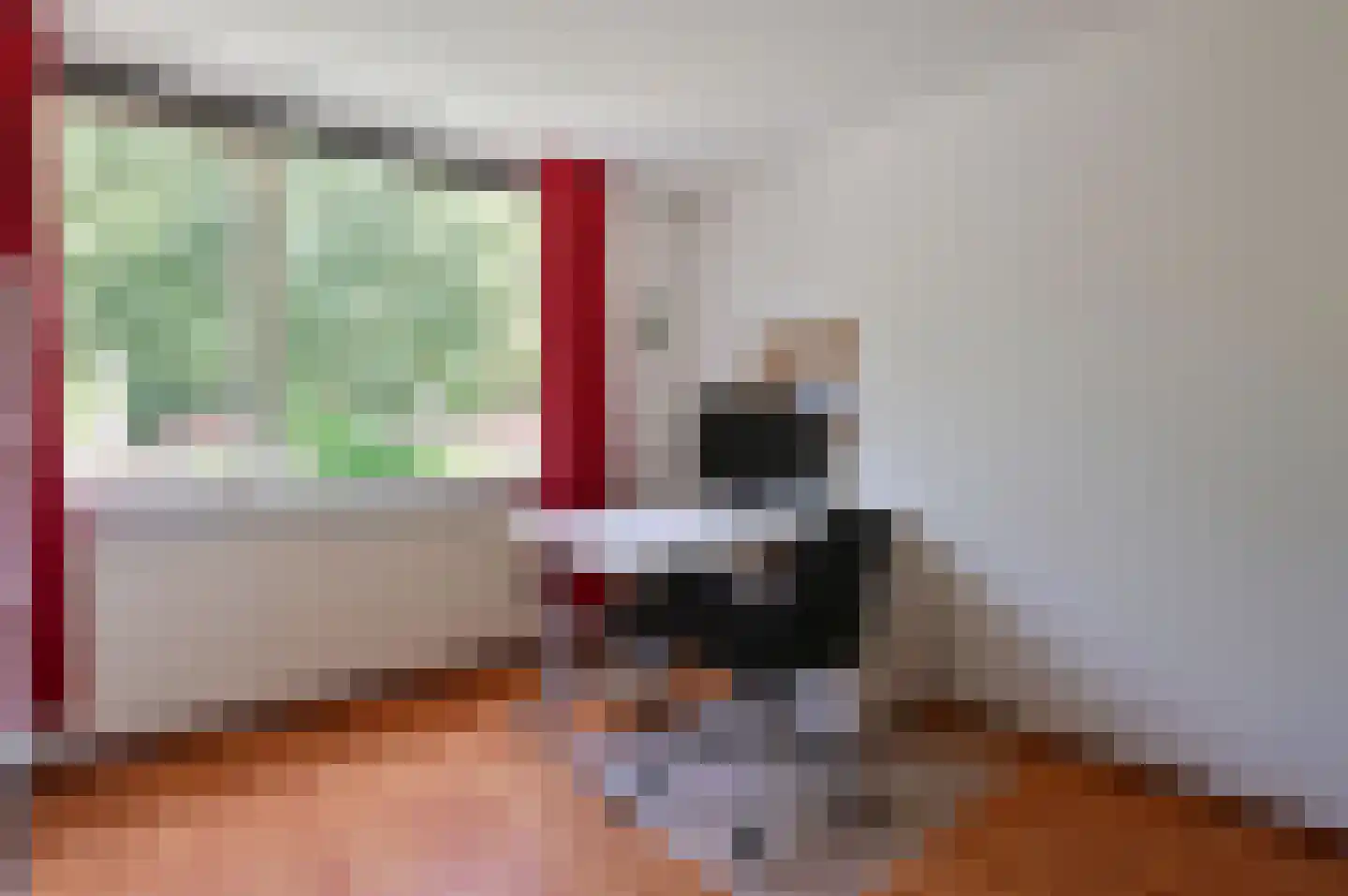 Scholekster 32 Eemnes thumbnail 14