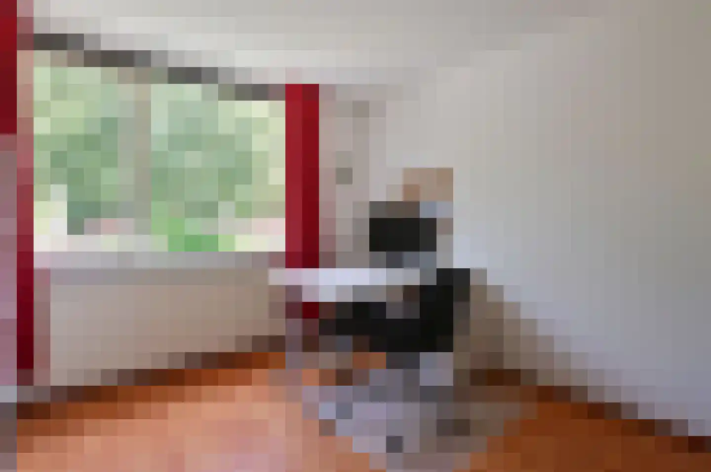 Scholekster 32 Eemnes thumbnail 15