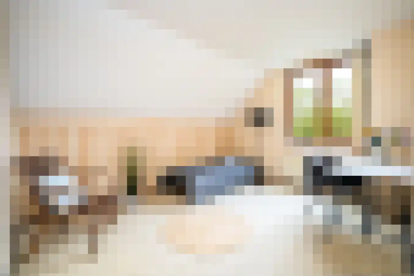 Scholekster 41 Driebergen-Rijsenburg thumbnail 30