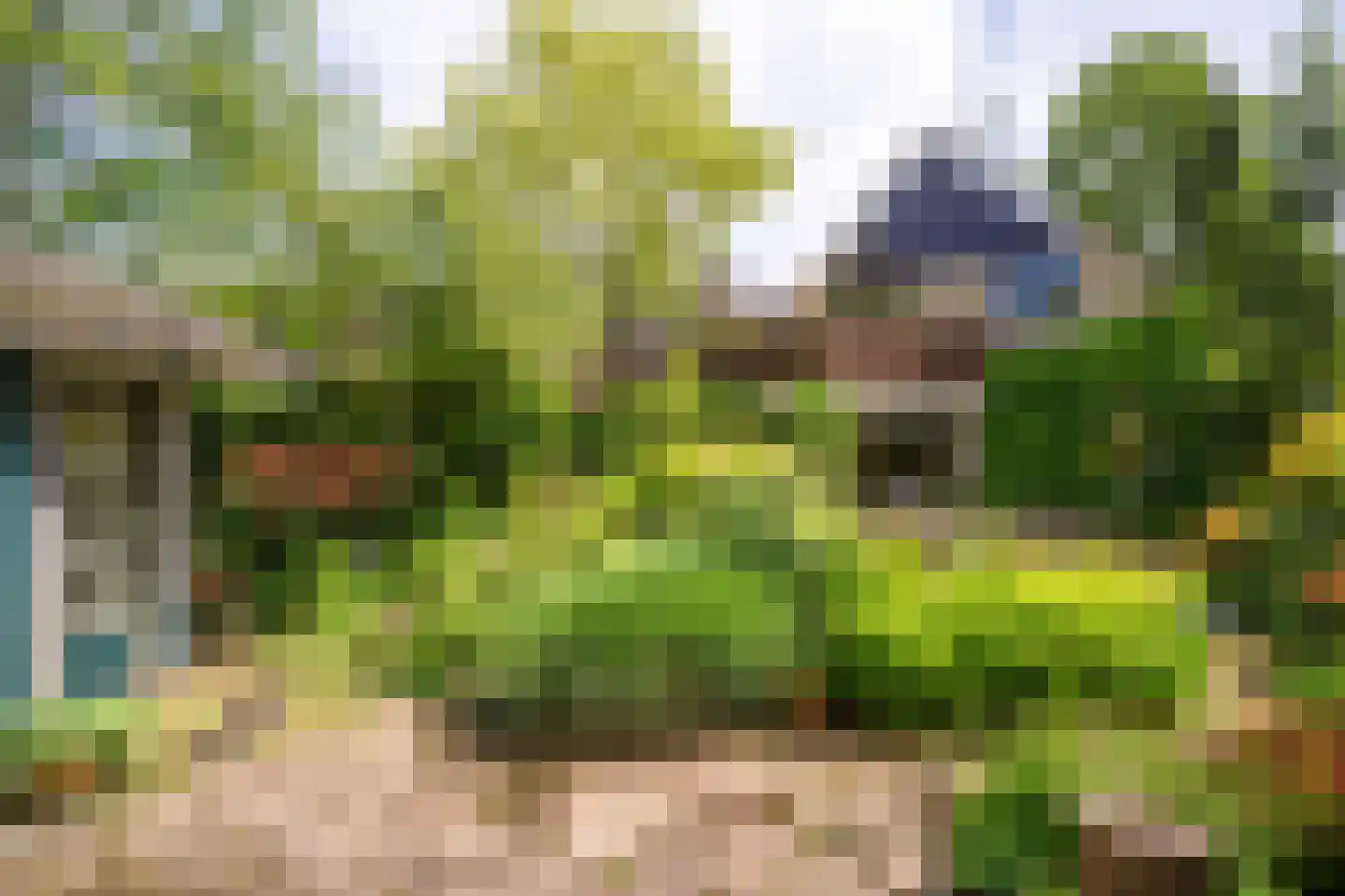 Scholekster 41 Driebergen-Rijsenburg thumbnail 37