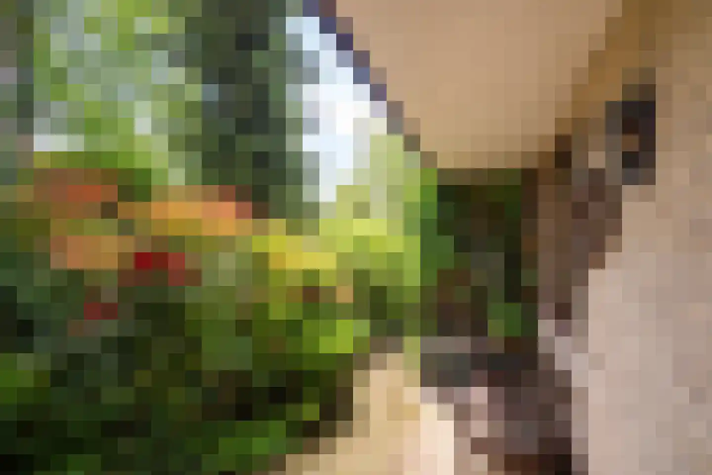Scholekster 41 Driebergen-Rijsenburg thumbnail 4