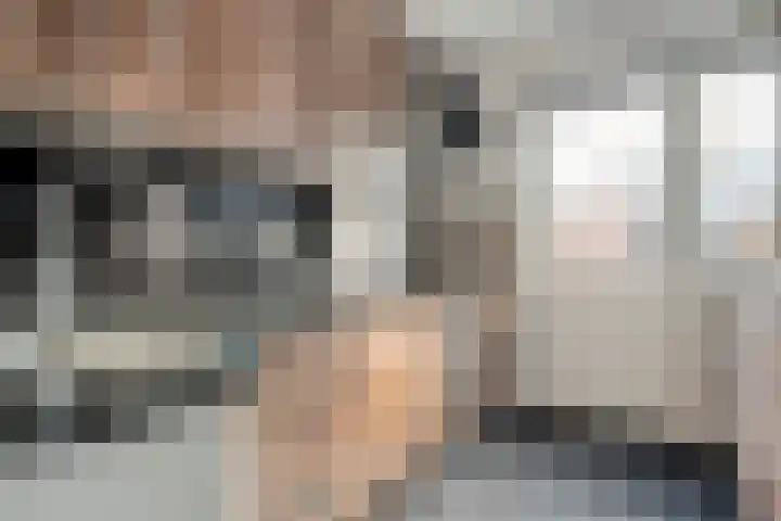 Scholekster 41 Ommen thumbnail 11