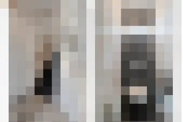 Scholekster 41 Ommen thumbnail 13