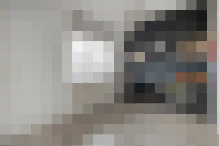 Scholekster 41 Ommen thumbnail 18