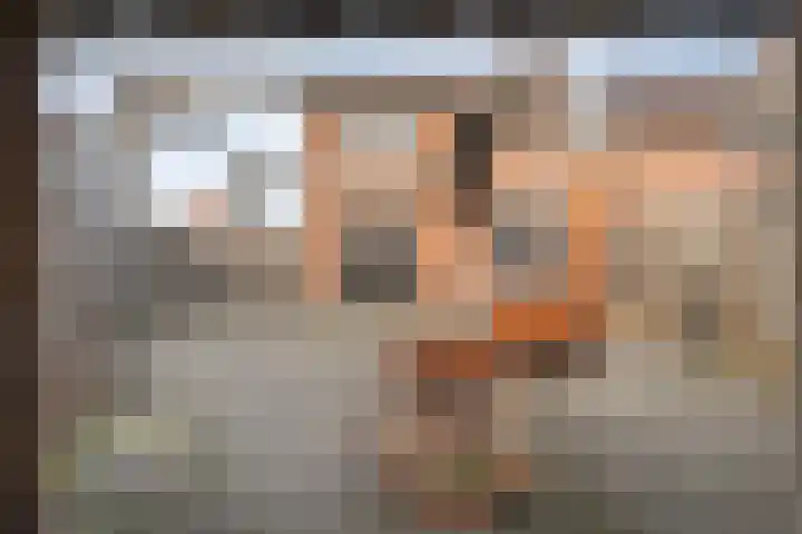 Scholekster 41 Ommen thumbnail 26