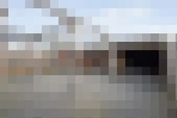 Scholekster 41 Ommen thumbnail 28