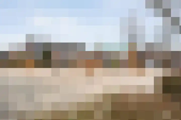 Scholekster 41 Ommen thumbnail 30