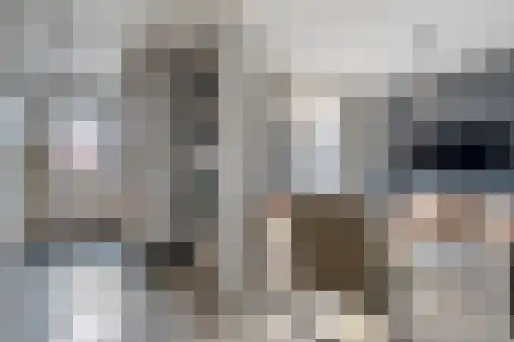 Scholekster 41 Ommen thumbnail 8