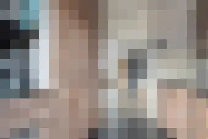 Scholekster 41 Ommen thumbnail 9