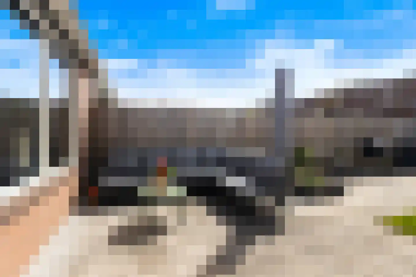 Scholekster 41 Oud-Beijerland thumbnail 17