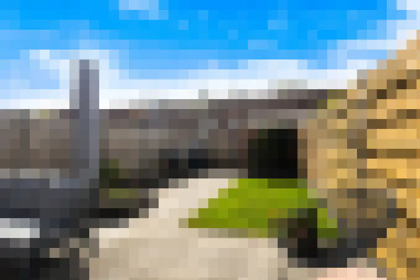 Scholekster 41 Oud-Beijerland thumbnail 18