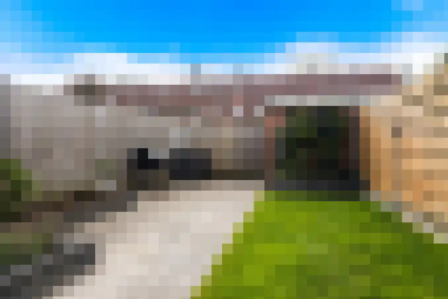 Scholekster 41 Oud-Beijerland thumbnail 19