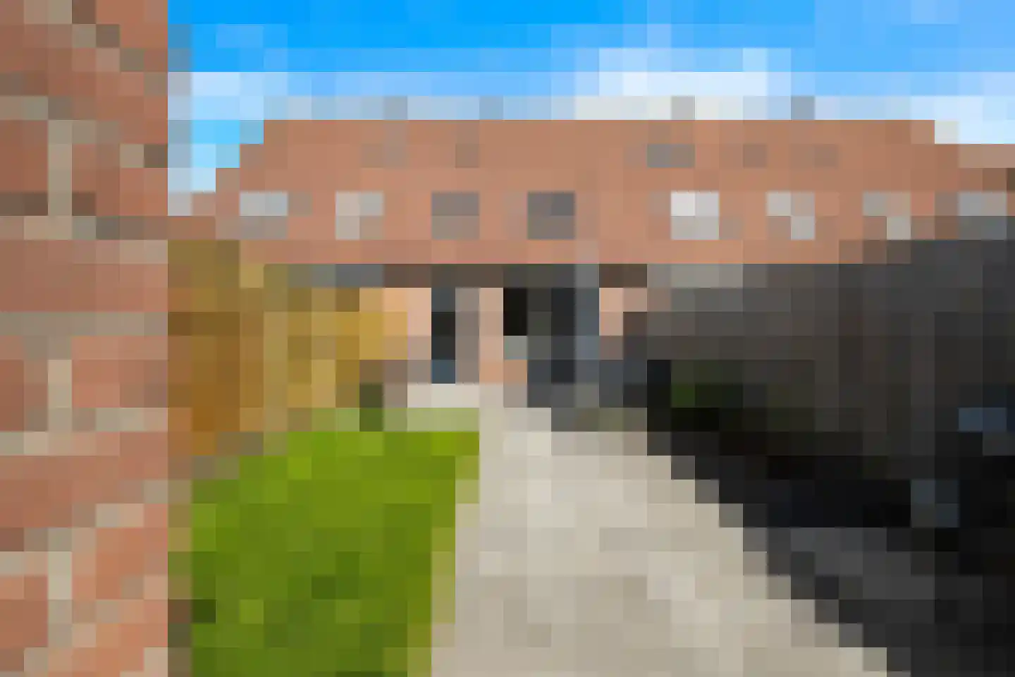 Scholekster 41 Oud-Beijerland thumbnail 20