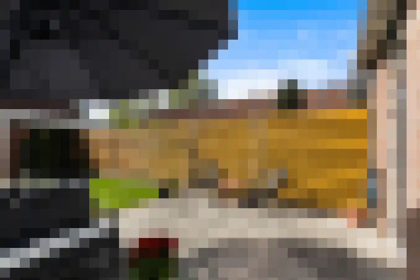 Scholekster 41 Oud-Beijerland thumbnail 23