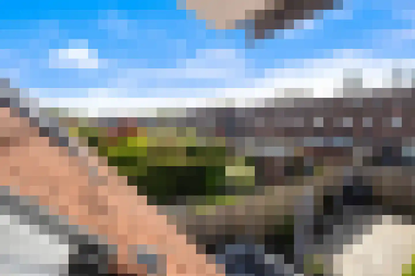 Scholekster 41 Oud-Beijerland thumbnail 27
