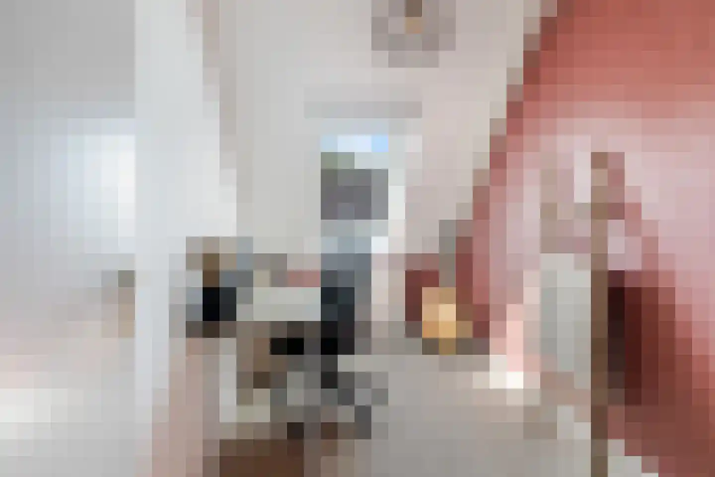 Scholekster 41 Oud-Beijerland thumbnail 31