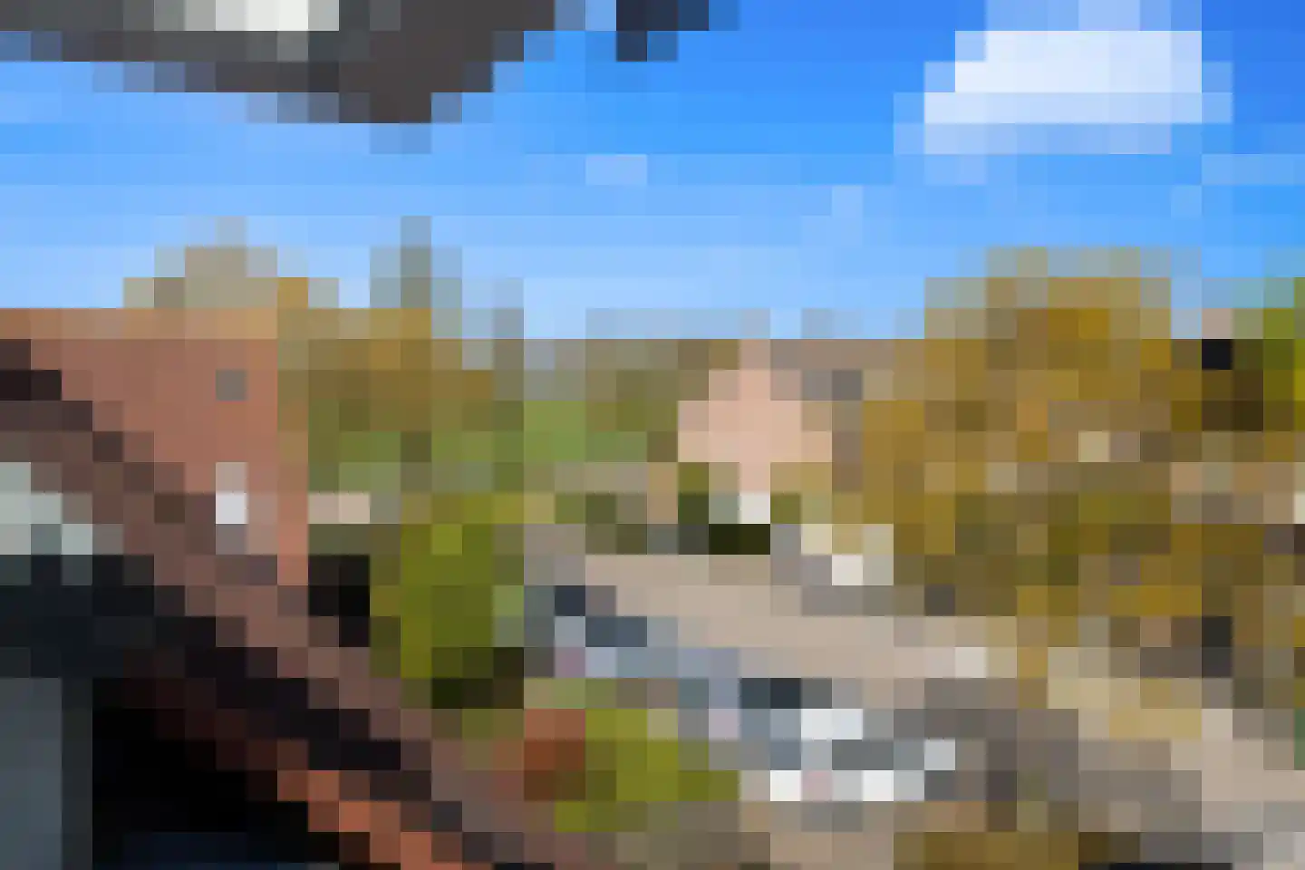 Scholekster 41 Oud-Beijerland thumbnail 32