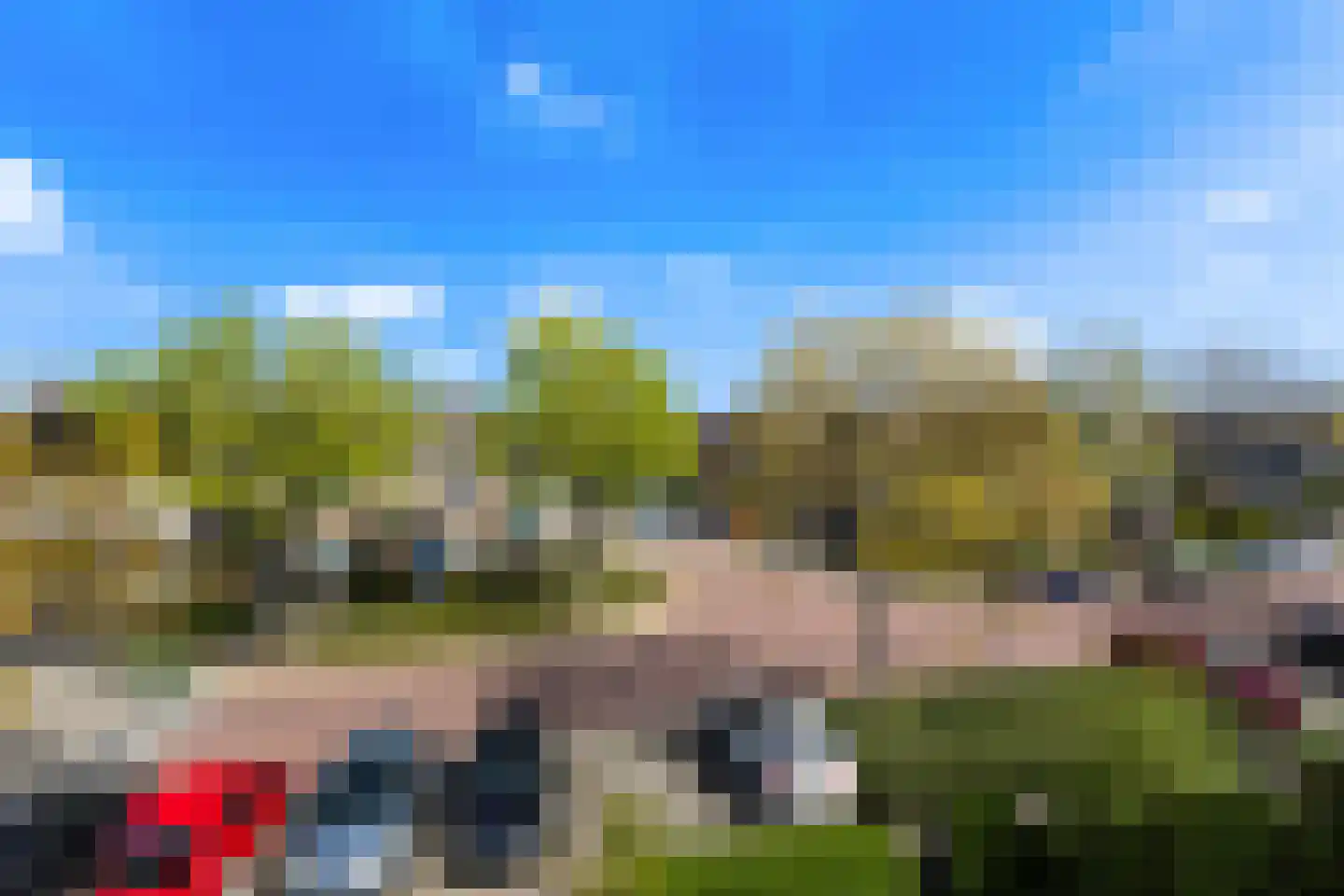 Scholekster 41 Oud-Beijerland thumbnail 33