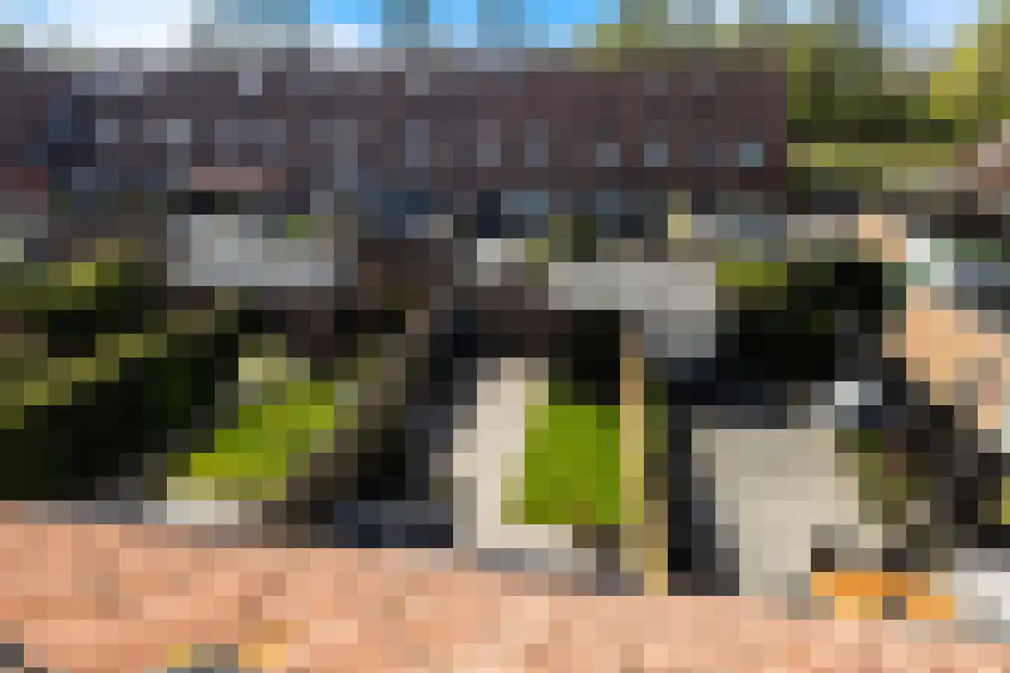 Scholekster 41 Oud-Beijerland thumbnail 34