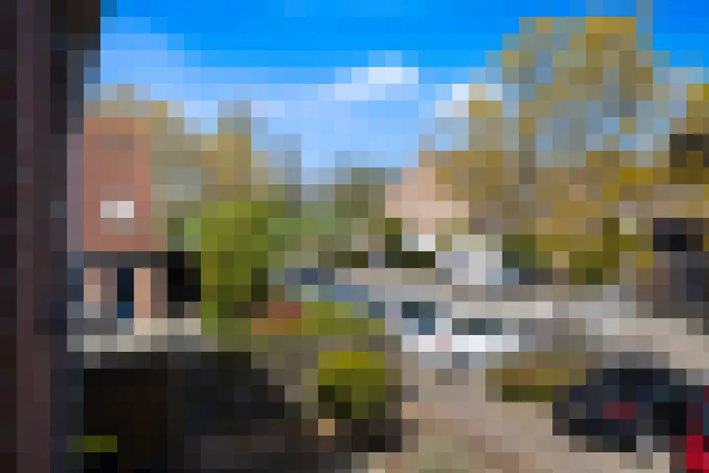 Scholekster 41 Oud-Beijerland thumbnail 38