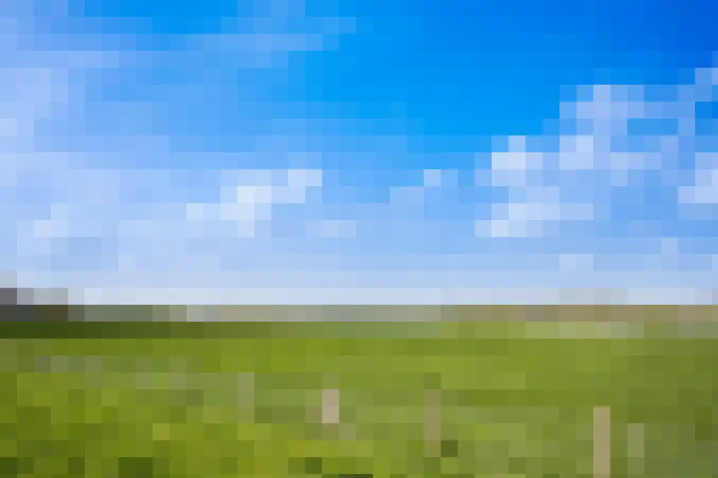 Scholekster 41 Oud-Beijerland thumbnail 44