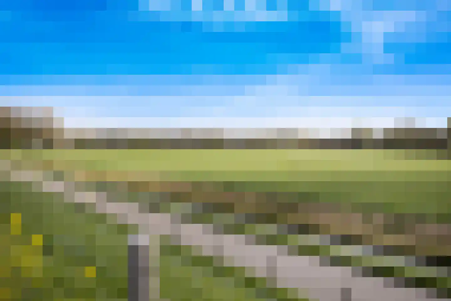 Scholekster 41 Oud-Beijerland thumbnail 45
