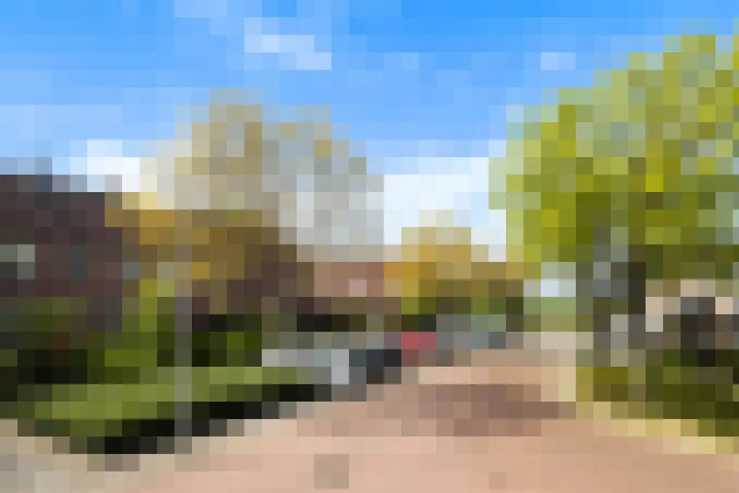 Scholekster 41 Oud-Beijerland thumbnail 46