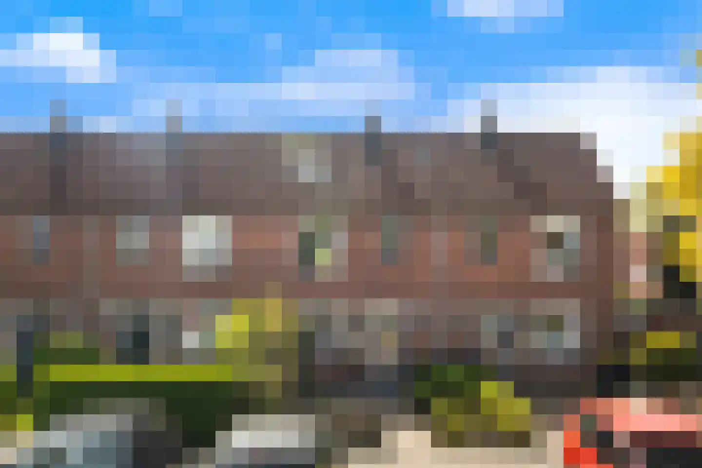 Scholekster 41 Oud-Beijerland thumbnail 47