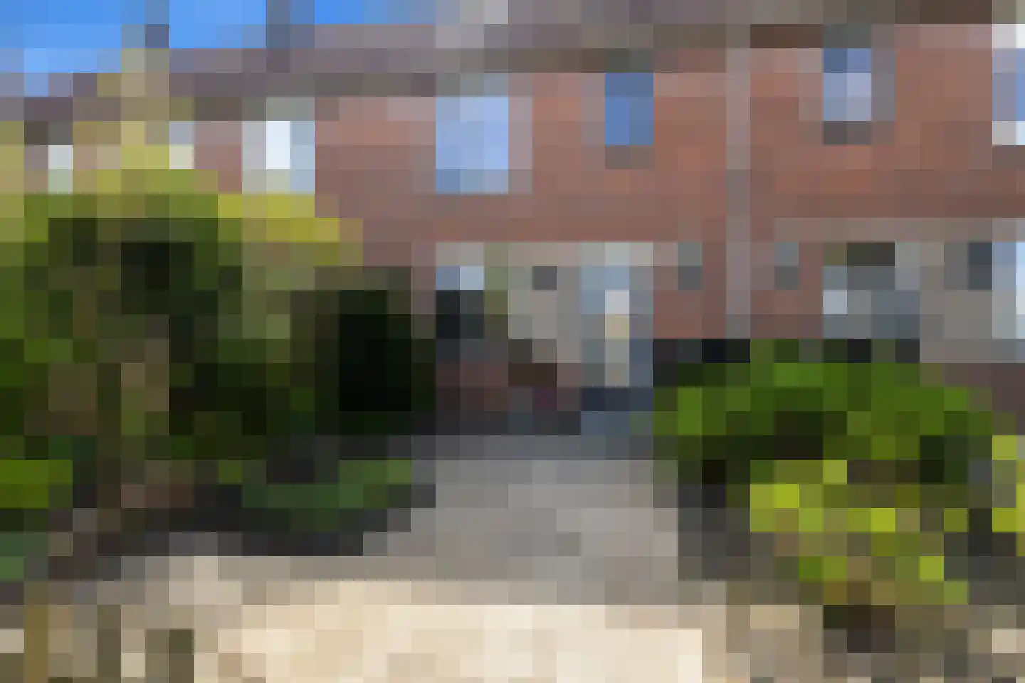 Scholekster 41 Oud-Beijerland thumbnail 49