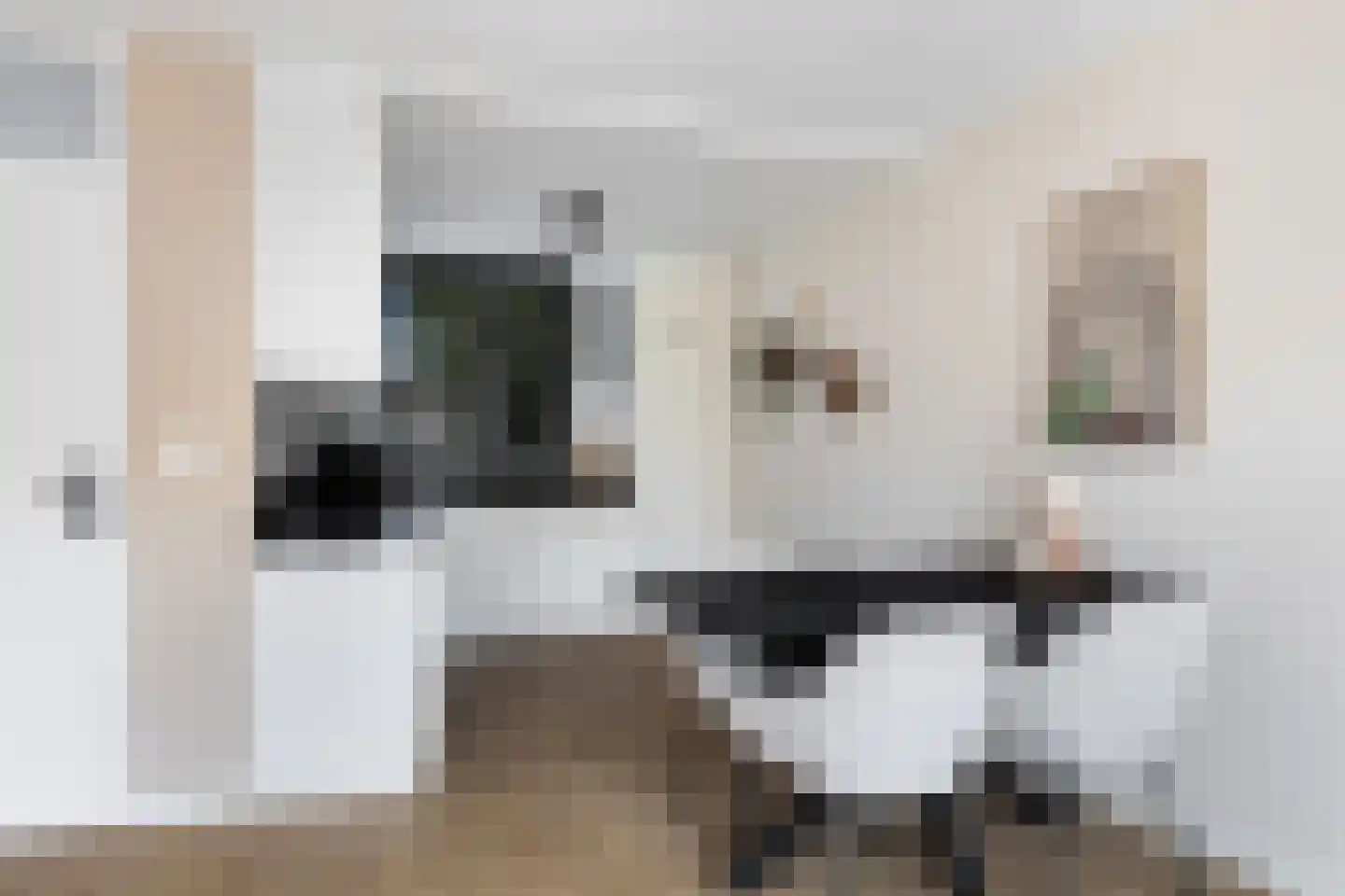 Scholekster 41 Oud-Beijerland thumbnail 5