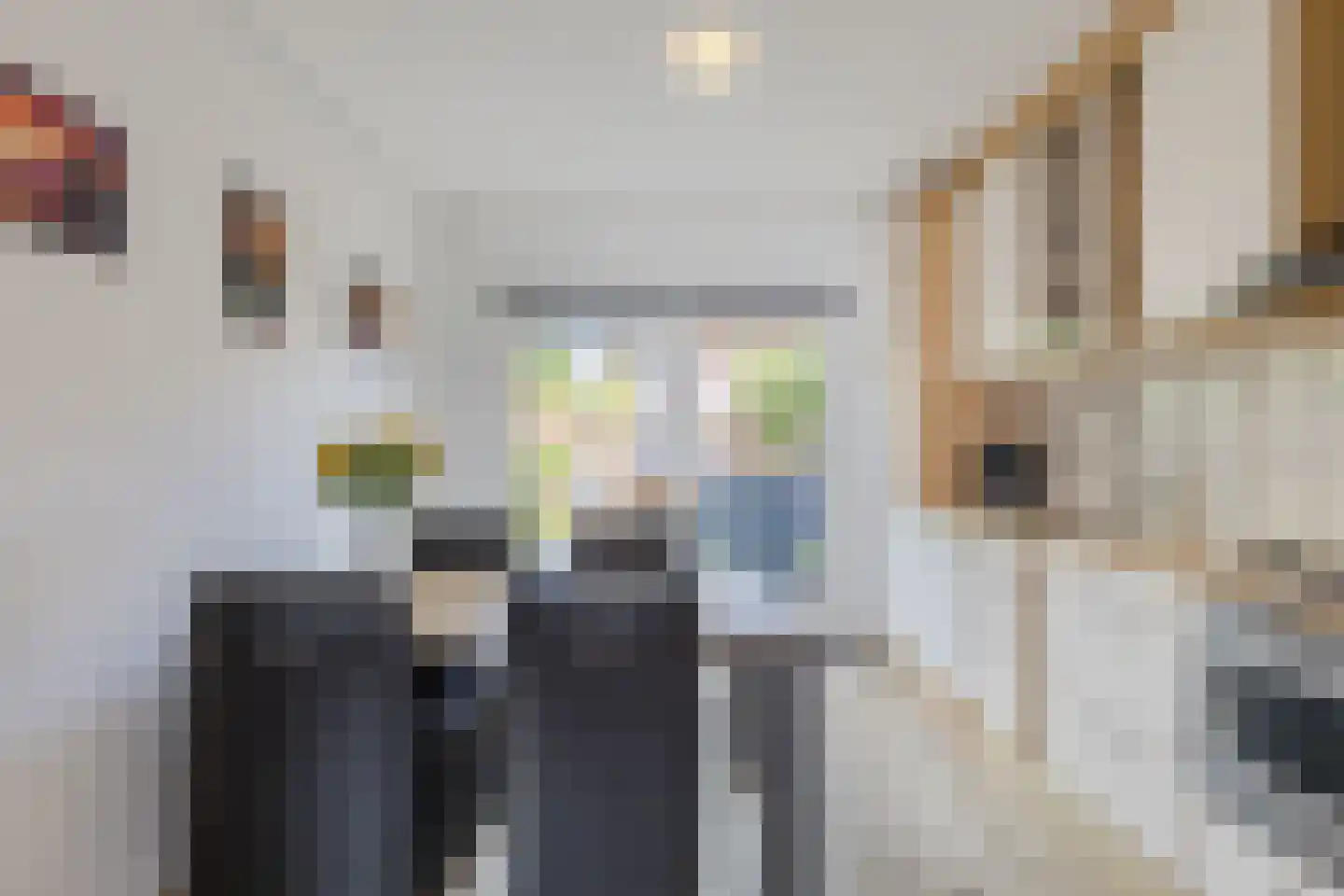 Scholekster 42 Mijdrecht thumbnail 10