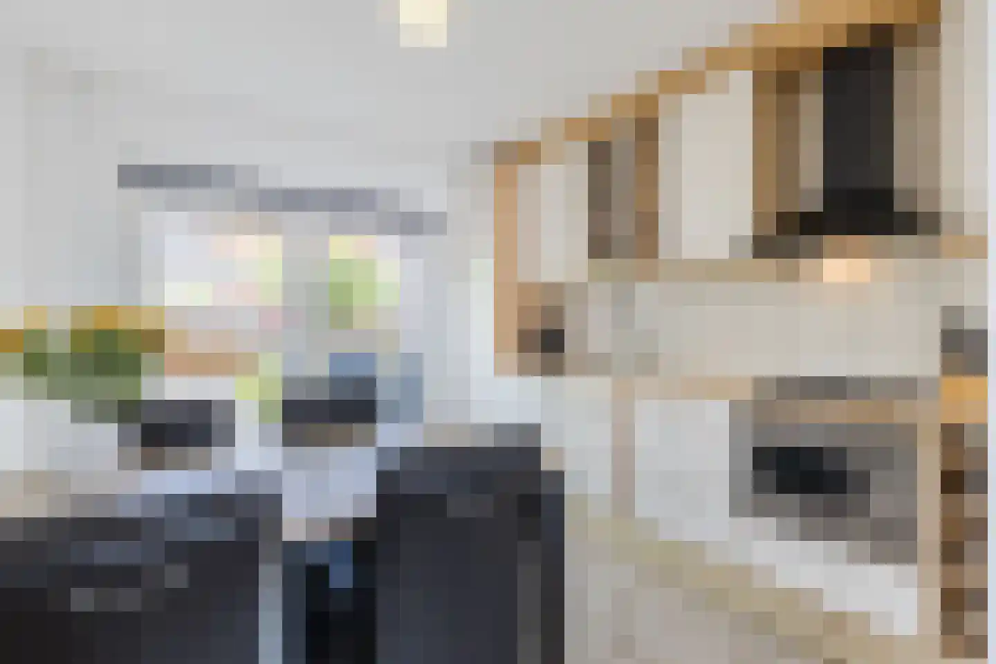 Scholekster 42 Mijdrecht thumbnail 11