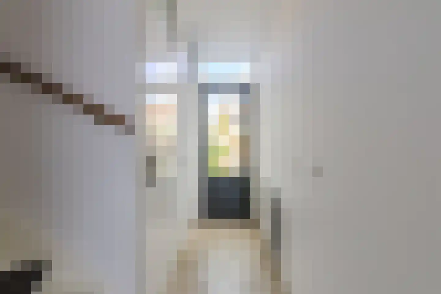 Scholekster 42 Mijdrecht thumbnail 14