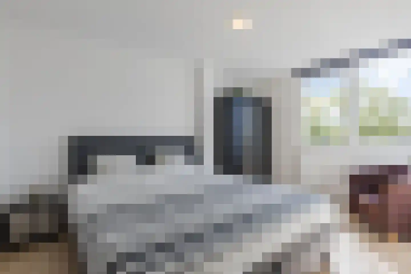 Scholekster 42 Mijdrecht thumbnail 15