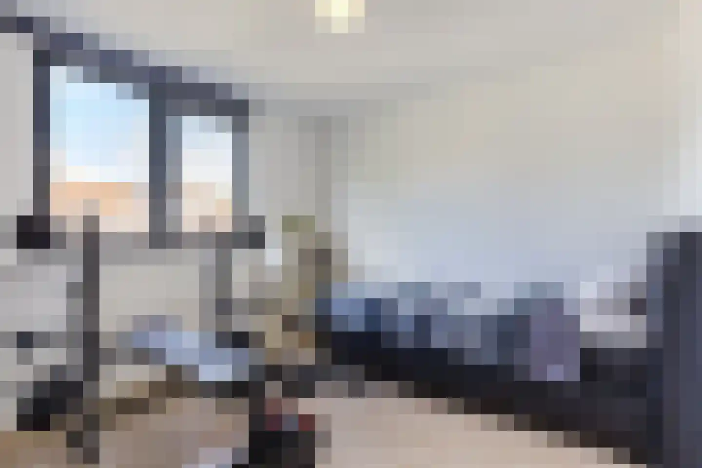 Scholekster 42 Mijdrecht thumbnail 17