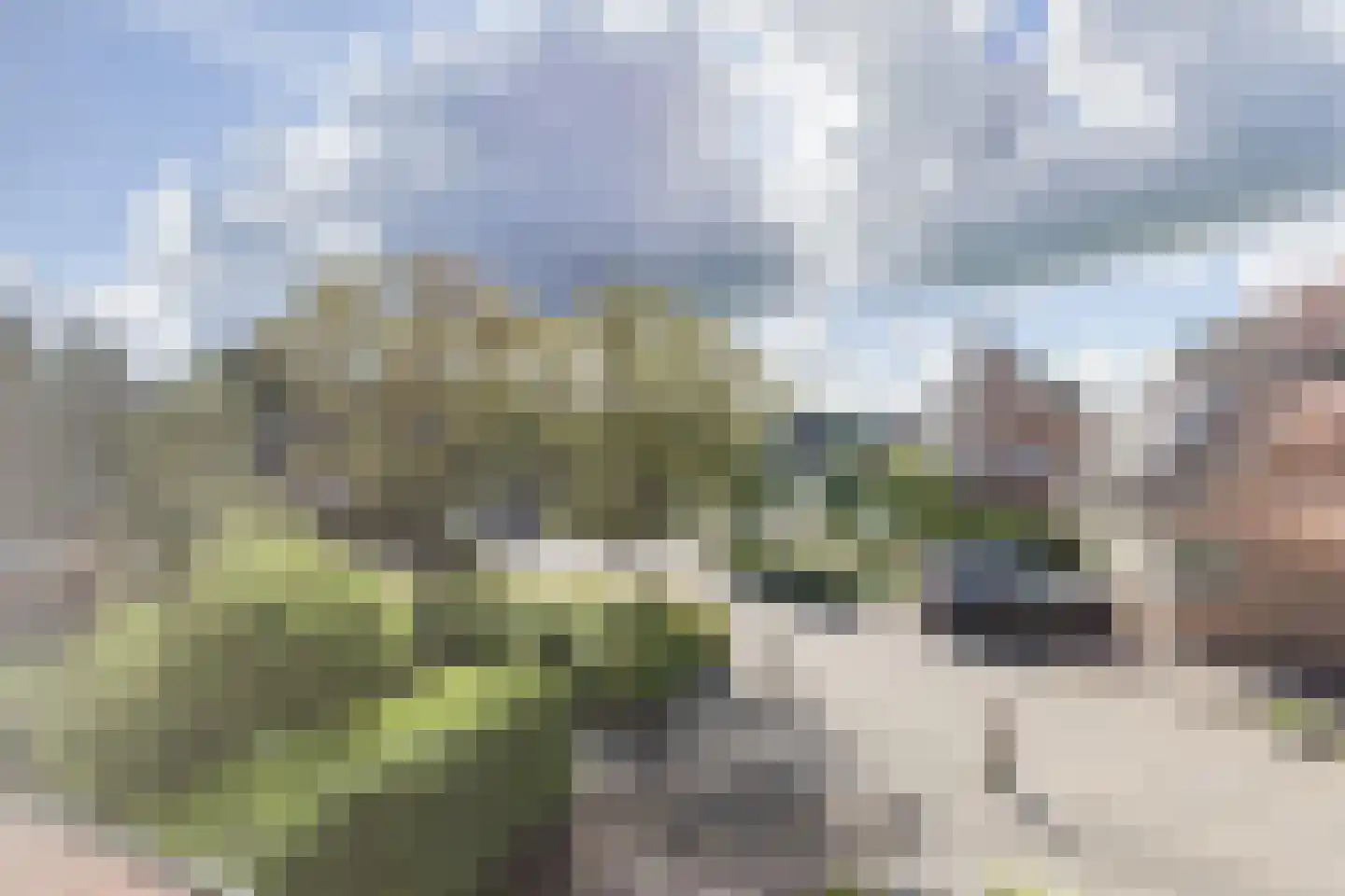 Scholekster 42 Mijdrecht thumbnail 20