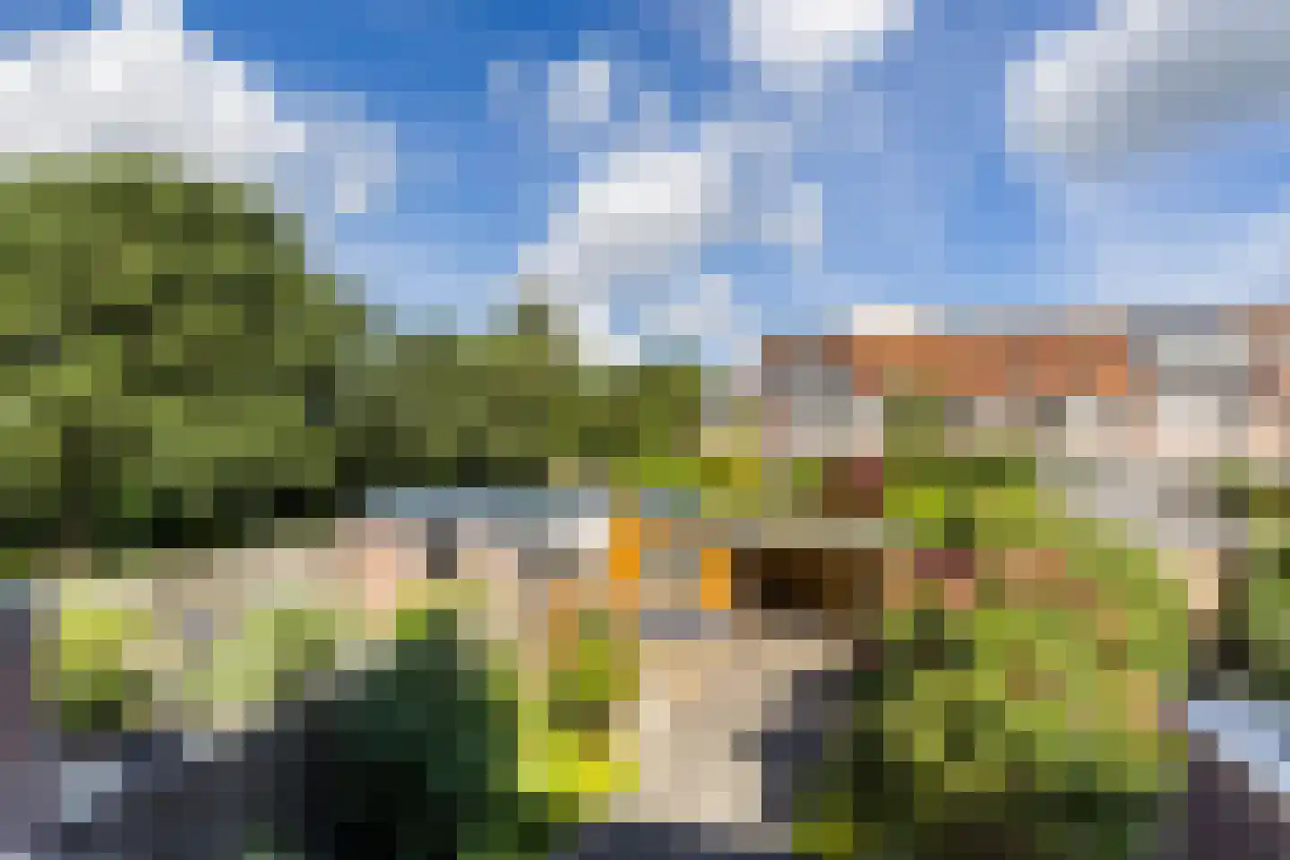 Scholekster 42 Mijdrecht thumbnail 29