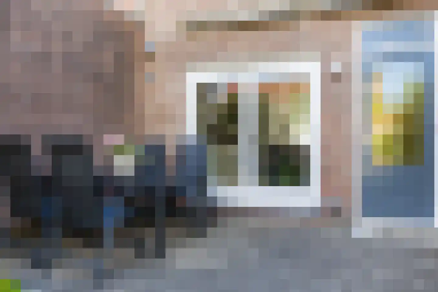 Scholekster 42 Mijdrecht thumbnail 32