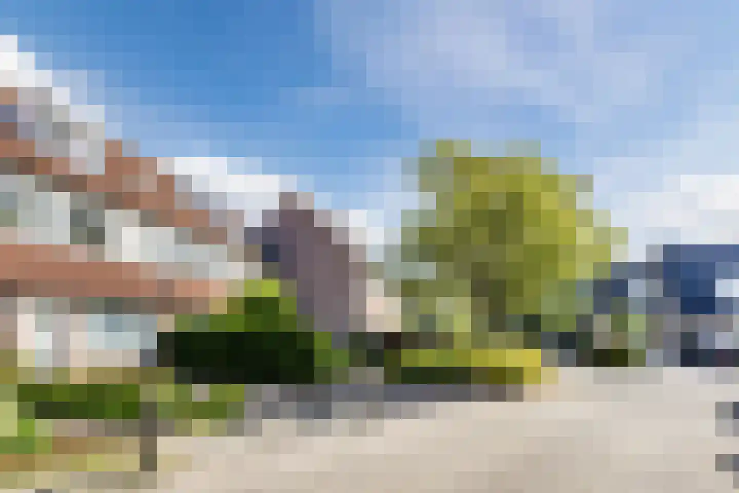 Scholekster 42 Mijdrecht thumbnail 34