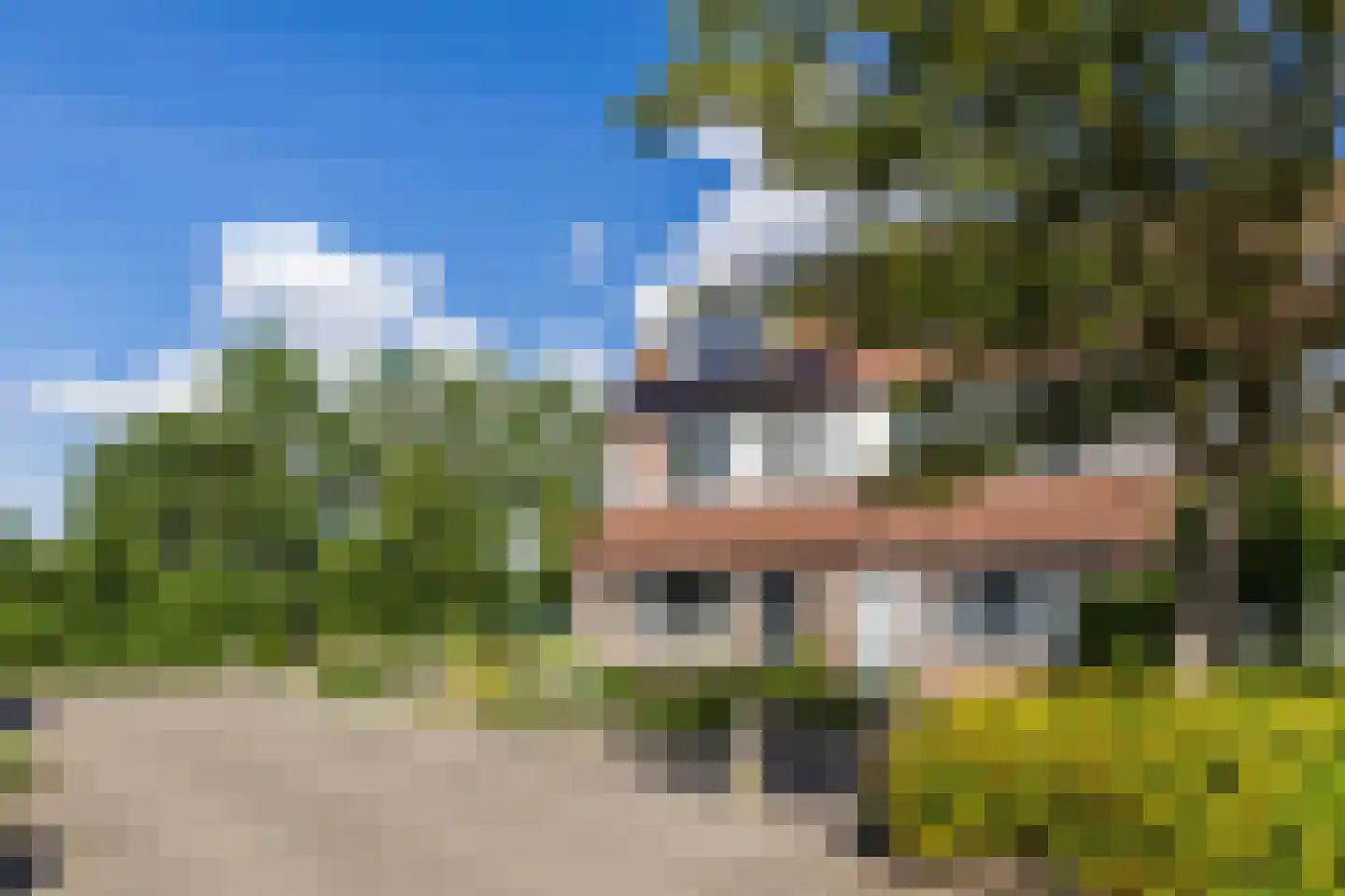 Scholekster 42 Mijdrecht thumbnail 35