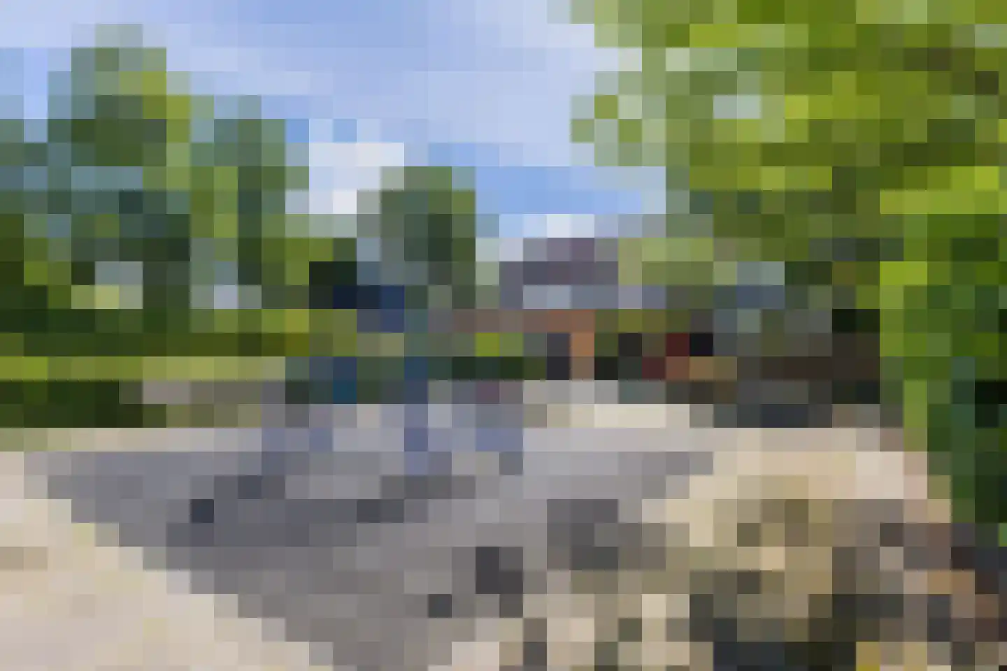 Scholekster 42 Mijdrecht thumbnail 37