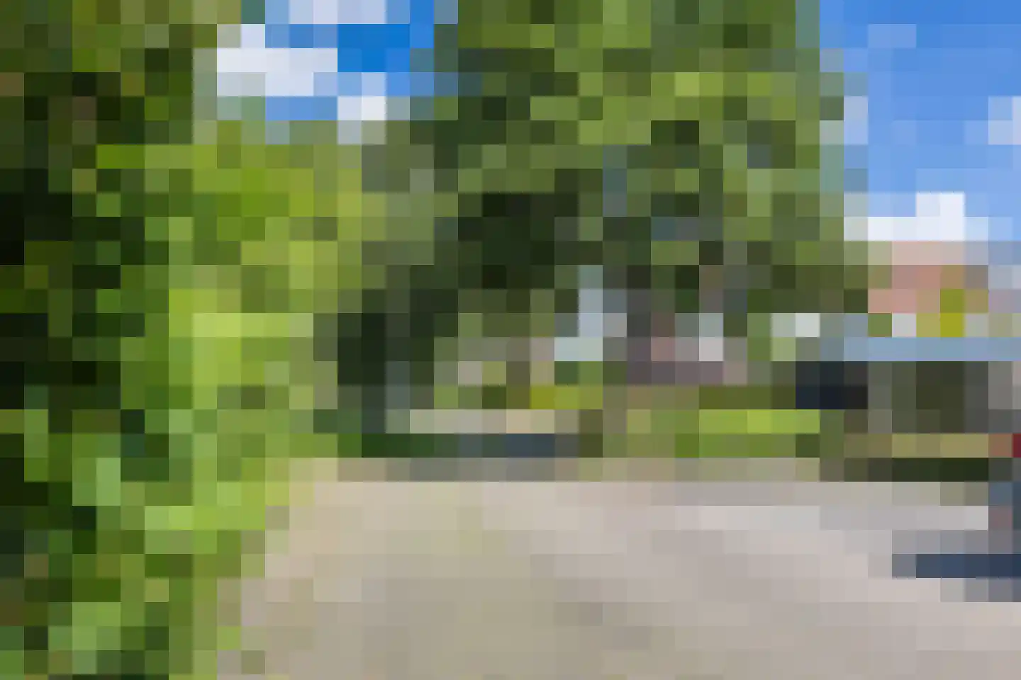 Scholekster 42 Mijdrecht thumbnail 38