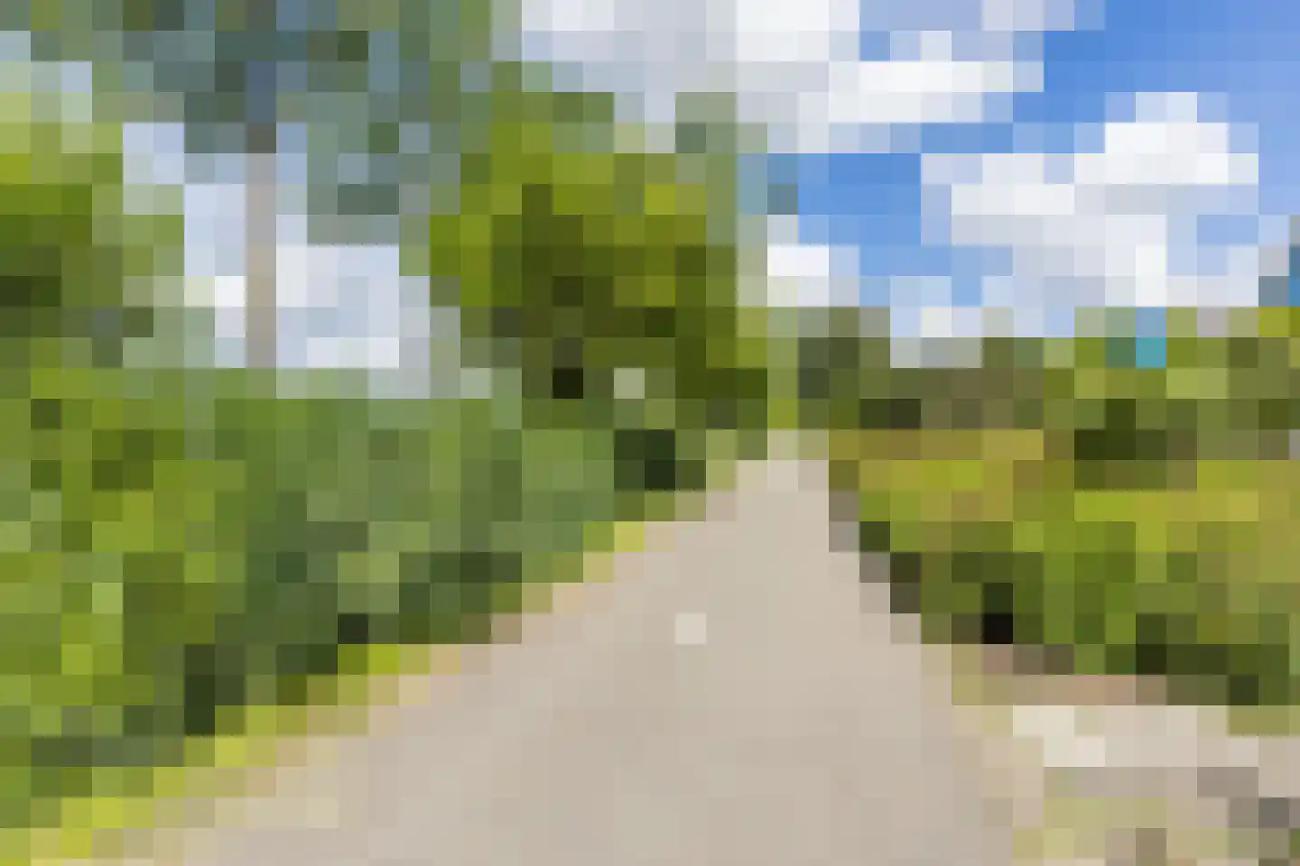 Scholekster 42 Mijdrecht thumbnail 39