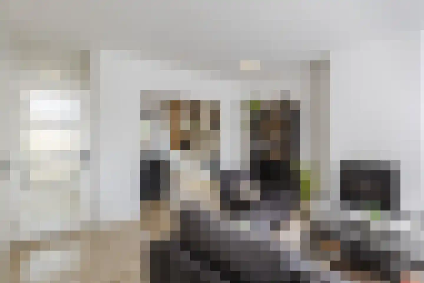 Scholekster 42 Mijdrecht thumbnail 4